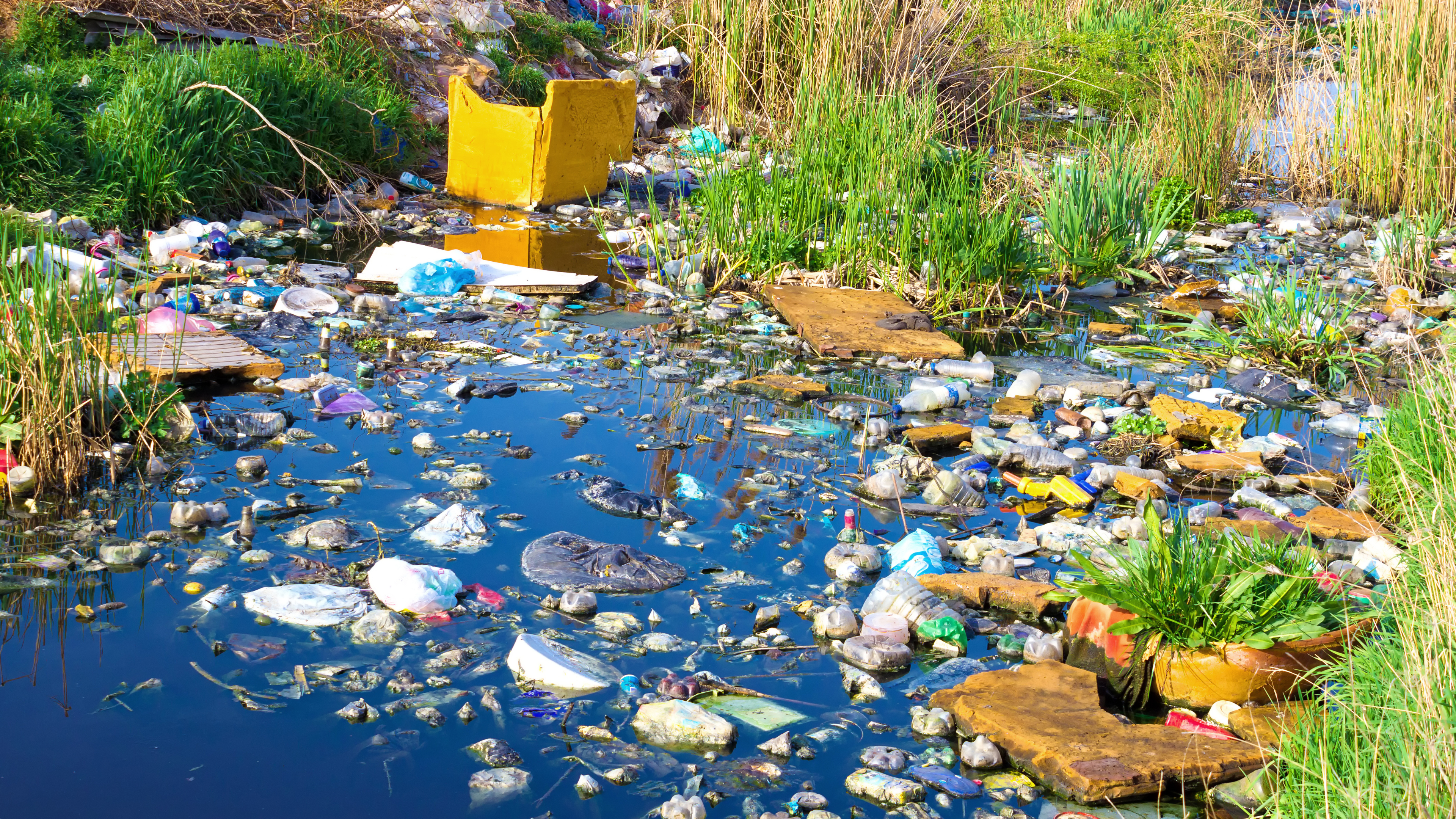 Wasserverschmutzung durch Plastikmüll und andere Schadstoffe